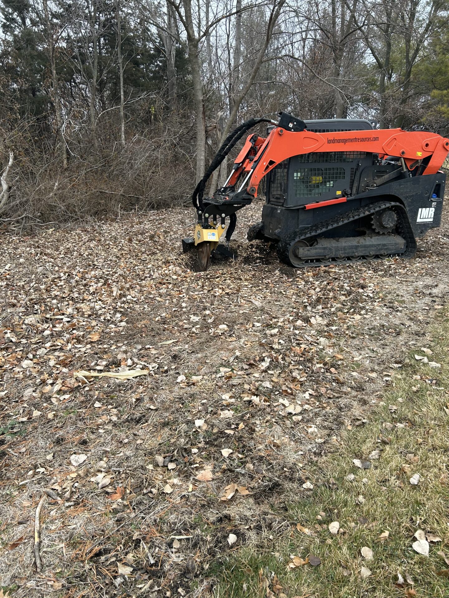 Stump Removal