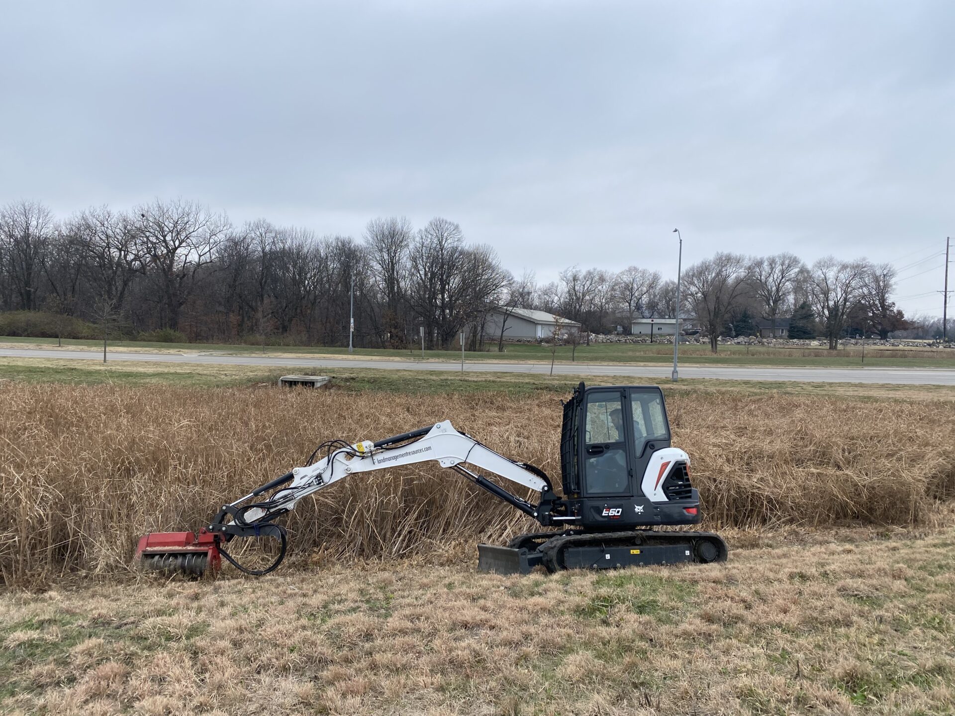 Service1-Forestry Mulching