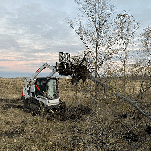 Service5-Tree, Brush and Storm Cleanup